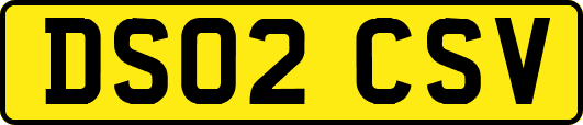 DS02CSV