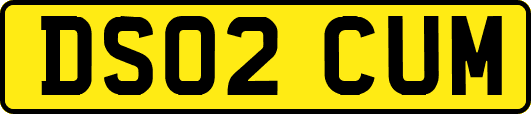 DS02CUM