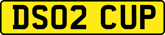 DS02CUP
