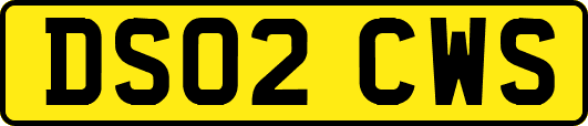 DS02CWS