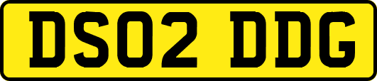 DS02DDG