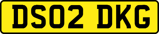 DS02DKG