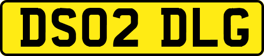 DS02DLG