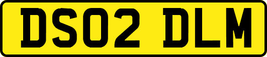 DS02DLM