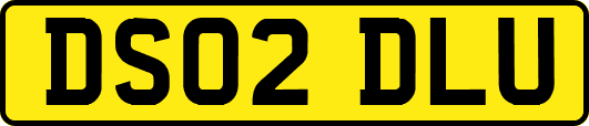 DS02DLU