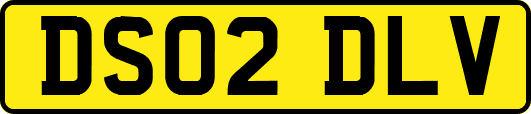 DS02DLV