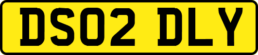 DS02DLY