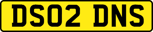 DS02DNS