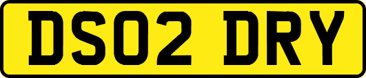 DS02DRY