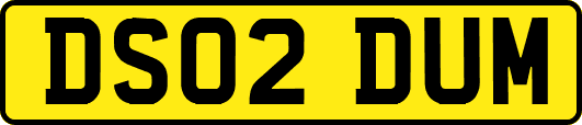 DS02DUM