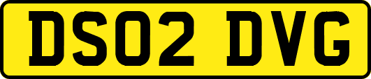 DS02DVG