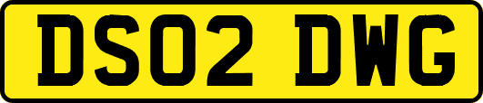 DS02DWG