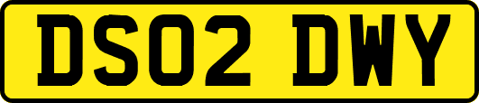 DS02DWY
