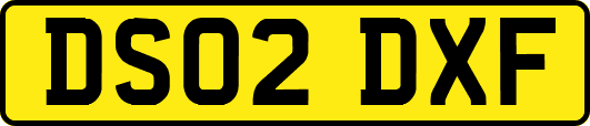 DS02DXF