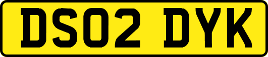 DS02DYK