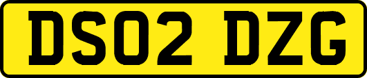 DS02DZG