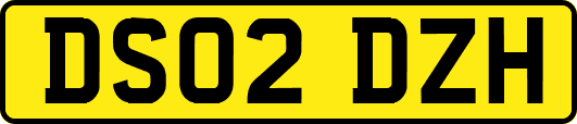 DS02DZH