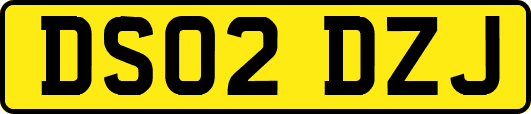 DS02DZJ