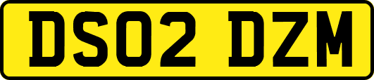 DS02DZM