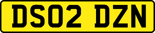 DS02DZN