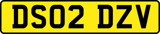 DS02DZV
