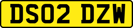 DS02DZW