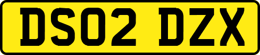 DS02DZX