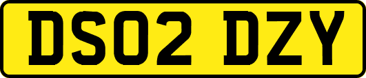 DS02DZY