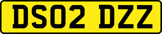 DS02DZZ