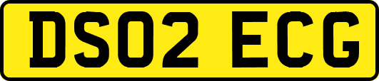 DS02ECG