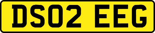 DS02EEG