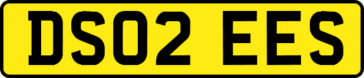 DS02EES