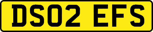 DS02EFS