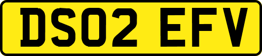 DS02EFV