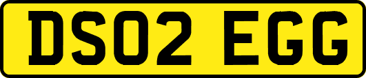 DS02EGG