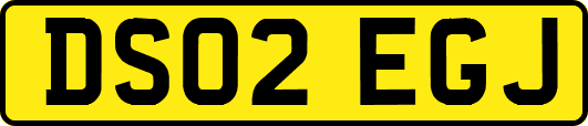 DS02EGJ