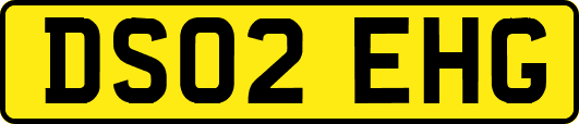 DS02EHG