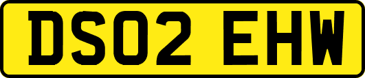 DS02EHW