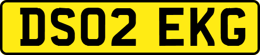 DS02EKG