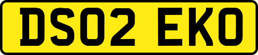 DS02EKO
