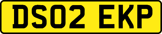 DS02EKP