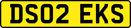 DS02EKS