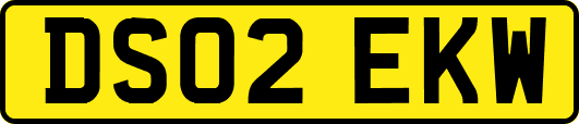 DS02EKW