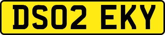 DS02EKY