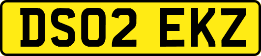 DS02EKZ