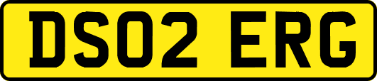 DS02ERG