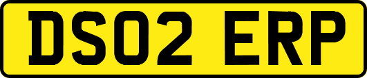 DS02ERP
