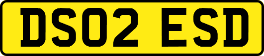 DS02ESD