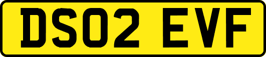 DS02EVF