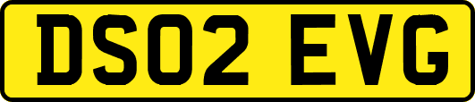 DS02EVG
